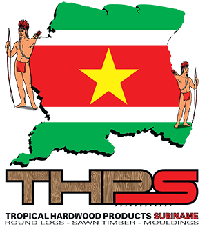 THPS Logo